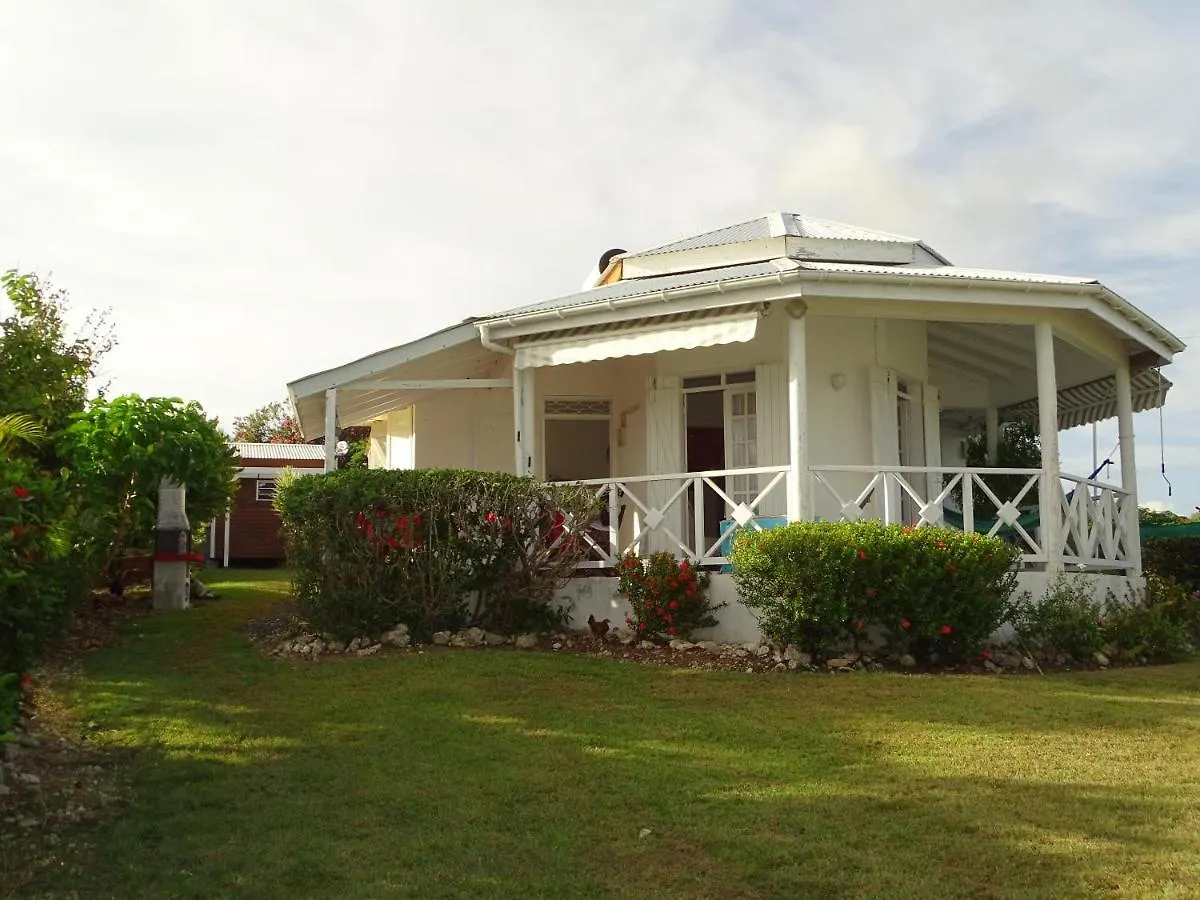 La Villa Les Palmiers Simplicite Convivialite Saint-Francois  Holiday home