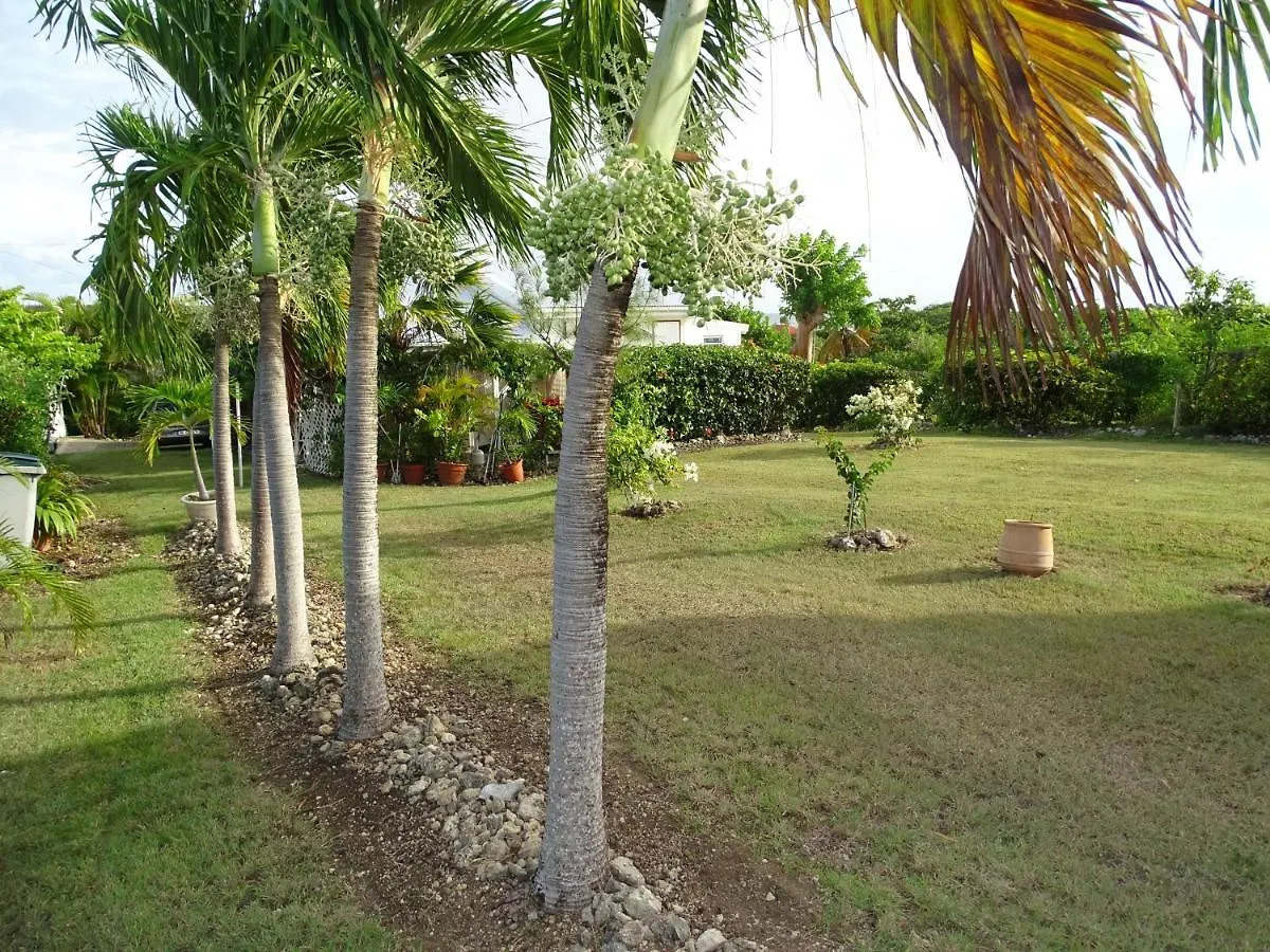 La Villa Les Palmiers Simplicite Convivialite Saint-Francois  Guadeloupe