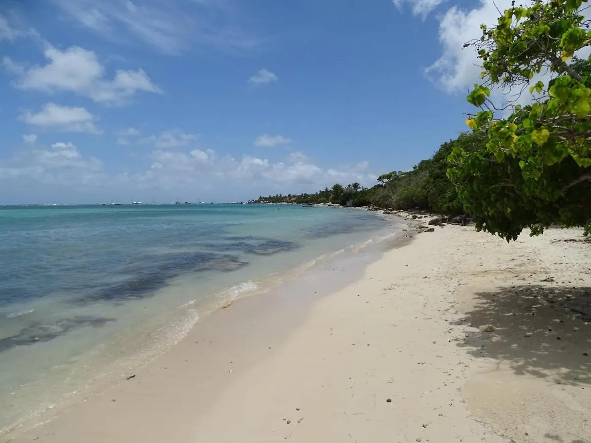 La Villa Les Palmiers Simplicite Convivialite Saint-Francois  Holiday home Saint-Francois (Grande-Terre)